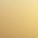 BIMBEL PRIVAT DI BUARAN