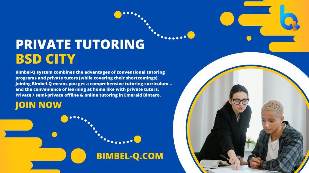 private tutoring bsd city