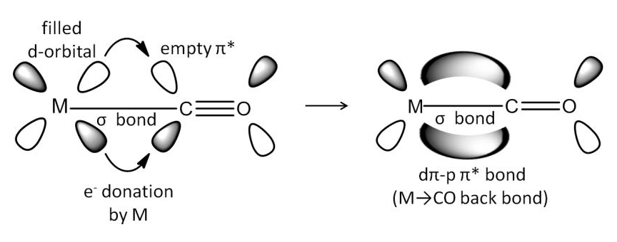 WALSH DIAGRAMS AND dπ-pπ BOND